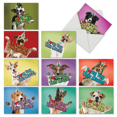 M6611BDG DOG LOVE YOU THIS MUCH' 10 Assorted Birthday Notecards Featuring Dogs Holding Their Arms Wide to Show You How Much They Love You, with Envelopes by The Best Card