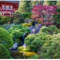 thumbnail image 2 of Miller, Anna 15x15 White Modern Wood Framed Museum Art Print Titled - Pagoda-Japanese Tea Garden-Golden Gate Park-San Francisco-California-USA, 2 of 4