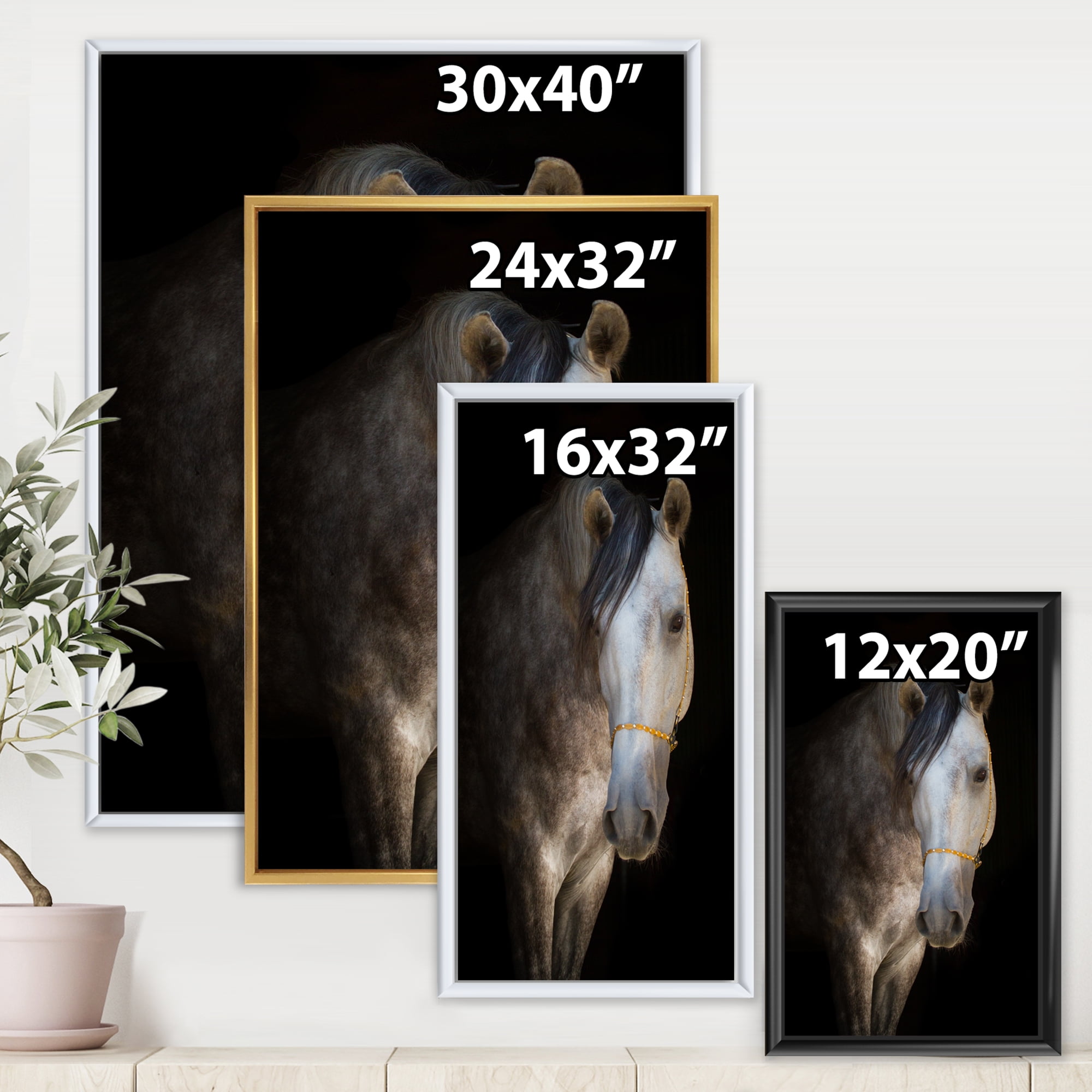 Designart 'Close Up Portrait Of A White Horse' Farmhouse Framed Canvas Wall Art Print