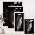 thumbnail image 4 of Close Up Portrait Of A White Horse 30 in x 40 in Framed Painting Canvas Art Print, by Designart, 4 of 5