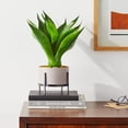 thumbnail image 2 of Nearly Natural 14in. Agave Succulent in Decorative Planter, 2 of 6