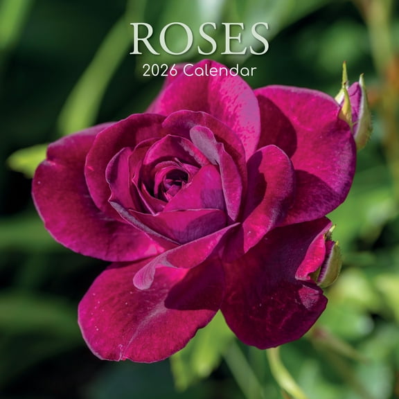 The Gifted Stationery 2026 Square Wall Calendar, Roses, 16-Month Floral Theme Hanging Calendar with 180 Reminder Stickers, Monthly Family Planner for Home & Creative Spaces, (12x12 In)