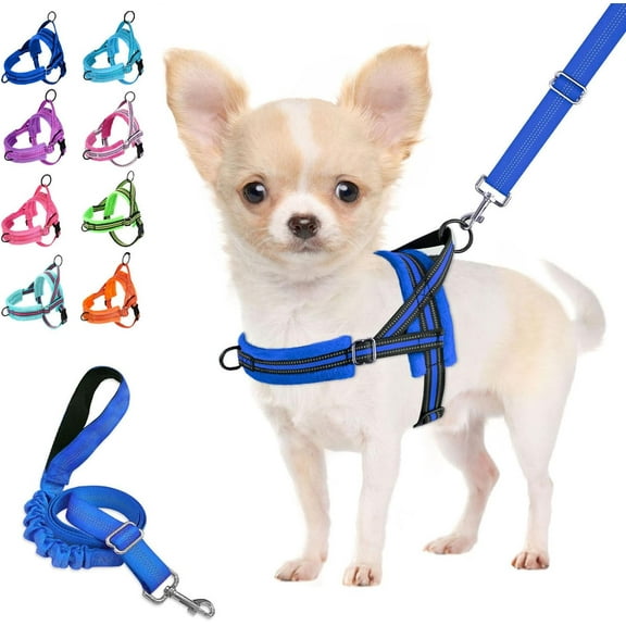 No Pull Dog Harness and Leash Set, Soft Padded Small Dog Harness, Neck & Chest Adjustable Reflective Vest Puppy Harness with 4ft Lightweight Anti-Twist Dog Leash for Small Dogs (XS, Blue)