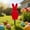 A, variant on QAWAEY Easter Bunny Flocked Decorations Easter Bunny Garden Stakes And Bunny Themed Outdoor Decorations For Spring Suitable For Yards And Parties(A,Flock)
