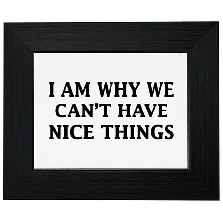 - I Am Why We Can't Have Nice Things - Hilarious Framed Print Poster Wall or Desk Mount Options