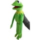 thumbnail image 1 of Marionetas de mano de rana de peluche, peluche de sésamo, lindo peluche de rana Kermit, muñeco de peluche de rana, marioneta de mano de peluche, juguete educativo para niños 60 cm / verde, 1 of 5