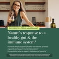 thumbnail image 5 of Gaia Herbs Sauerkraut Postbiotic - Gut Health & Immune Support Supplement* - Made with Fermented Sauerkraut - Free from Dairy, Soy & Gluten - 60 Vegan Liquid Phyto-Caps (30 Servings), 5 of 9