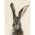 thumbnail image 2 of Art.com European Hare II Art Print by Ethan Harper, 12" x 16", 2 of 4