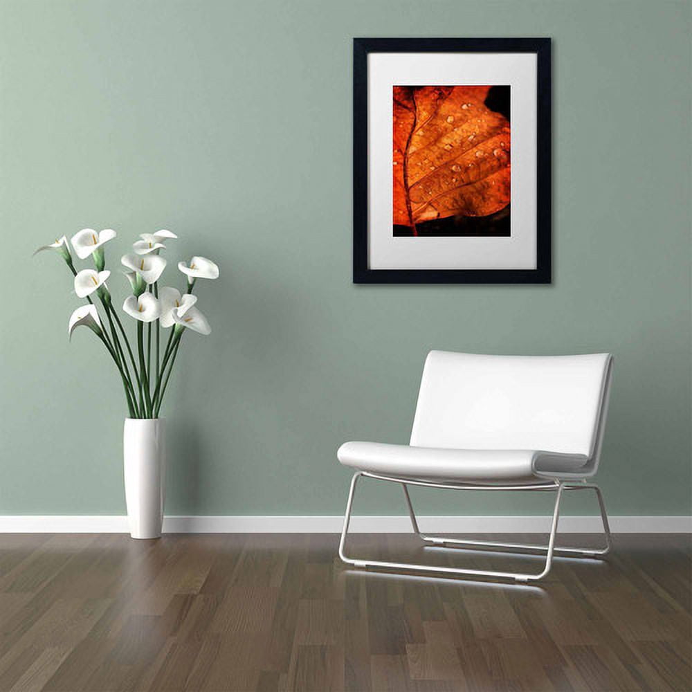 Trademark Fine Art "Autumn Droplets" Canvas Art by Philippe Sainte-Laudy, White Matte, Black Frame