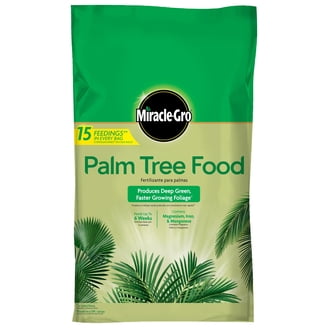 Miracle-Gro Shake 'N Feed Palm Plant Food Fertilizer for Soil and Ground, 8  lbs. - Walmart.com