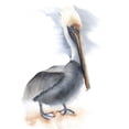 thumbnail image 2 of Shefranov, Olga 12x14 Gold Ornate Wood Framed with Double Matting Museum Art Print Titled - Pelican, 2 of 4