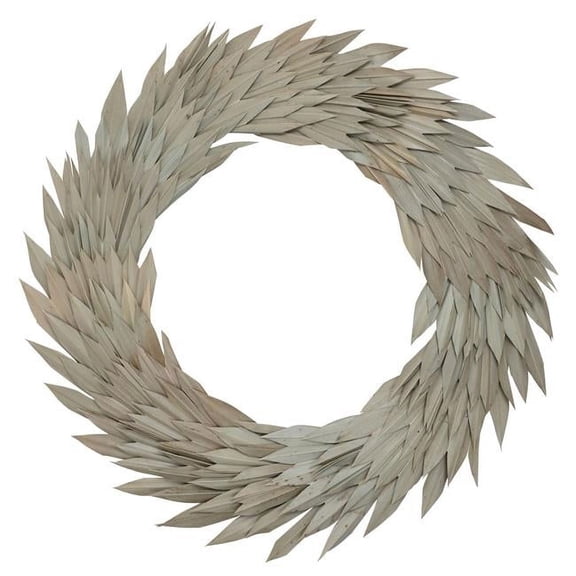 Vickerman 24" Natural Palm Sun Wreath