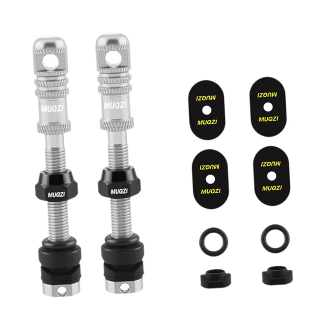2 vástagos de válvula Presta Tubeless para bicicleta de alto rendimiento con herramienta de extracción del núcleo de la válvula Plata