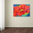 thumbnail image 3 of Trademark Fine Art 'Passion Poppy' Canvas Art by Marion Rose, 3 of 3