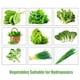 thumbnail image 3 of Sistema de cultivo hidropónico Caja de gabinete 6 agujeros Balcón Cultivo de vegetales Kit de tanque Meterk Azul, 3 of 7