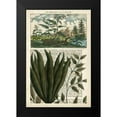 thumbnail image 2 of Vision Studio 17x24 Black Modern Framed Museum Art Print Titled - Journal of the Tropics III, 2 of 5