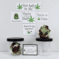 thumbnail image 5 of Adopt A Weed Plushie,Jar Funny Plush Desktop Accessories A, 5 of 5