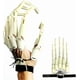 thumbnail image 1 of Articulated Finger Extensions, Halloween Articulated Fingers, 3D Printed Flexible Finger Extensions Fits All Finger Sizes Articulated Fingers White, 1 of 4
