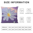 thumbnail image 5 of BANET Double-Side Short Plush Pillow Case Pillow for and Short Plush Room Decor 20x20in, 5 of 5
