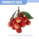 thumbnail image 5 of unbranded Decorativa Artificial Roja Con Apariencia Natural Para Ambiente Y Cocina, 5 of 6