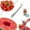 1PCS, variant on 2026 New Watermelon Cutter, 2-In-1 Summer Stainless Steel Fruit Cutter, Summer Watermelon Fork Slicer Cutting Tool for Home Party Camping Kitchen Gadget