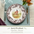 thumbnail image 2 of Spode Woodland Pheasant 9" Soup Plate - Rustic Fine Earthenware Bowl with Game Bird Design for Soup, Pasta or Salad - Dishwasher, Microwave, Oven & Freezer Safe, 2 of 7