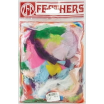 Turkey Plumage Feathers .5oz-Assorted