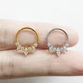 thumbnail image 6 of APIPEE Titanium Micro Cubic Zirconia Hinged Nose Hoop Ring Body Jewelry Unisex, 6 of 7