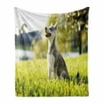 thumbnail image 1 of Alaskan Malamute Soft Flannel Fleece Throw Blanket, Klee Kai Puppy Sitting on Grass Looking up Friendly Young Animal, Cozy Plush for Indoor and Outdoor Use, 60" x 80", Multicolor, by Ambesonne, 1 of 6
