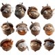 thumbnail image 3 of El Ornamento La Bellota Del Animal Fijó Acrílico Plano 2D 12pcs para Casera, 3 of 3