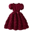 thumbnail image 4 of Blekii Petite Fit Dress Long Sleeve Crewneck Dresses Casual Spring Summer Birthday Tulle Midi Dress Wine 6Y, 4 of 4