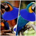 thumbnail image 3 of Protective Parrot Collar Anti-pecking Collar Bird Recovery Collar Ring Anti-biting Bird Neckwear, 3 of 3