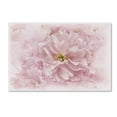 thumbnail image 2 of Trademark Fine Art 'Cherry Blossom' Canvas Art by Cora Niele, 2 of 4