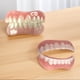 thumbnail image 4 of Dientes Cosméticos Falsos Cubierta Énfasis Dentaduras Dentadura, 4 of 9