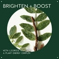 thumbnail image 3 of Aveda Botanical Kinetics Energizing Eye Creme | Helps Brighten Under Eyes, Reduces the Look of Dark Circles | with Licorice Root and Caffeine | 96% Naturally Derived*, 0.5 Fl Oz, 3 of 5