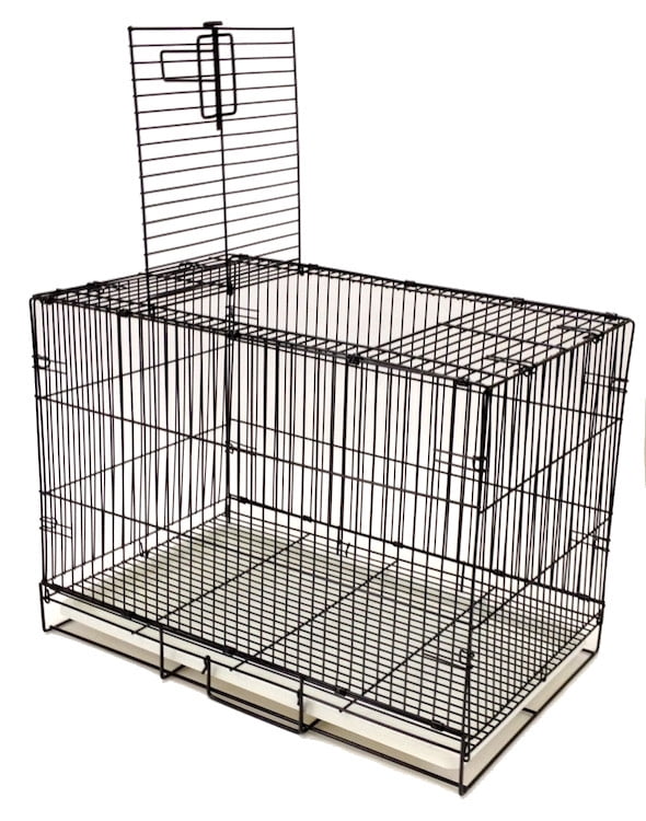 dog training bird cage