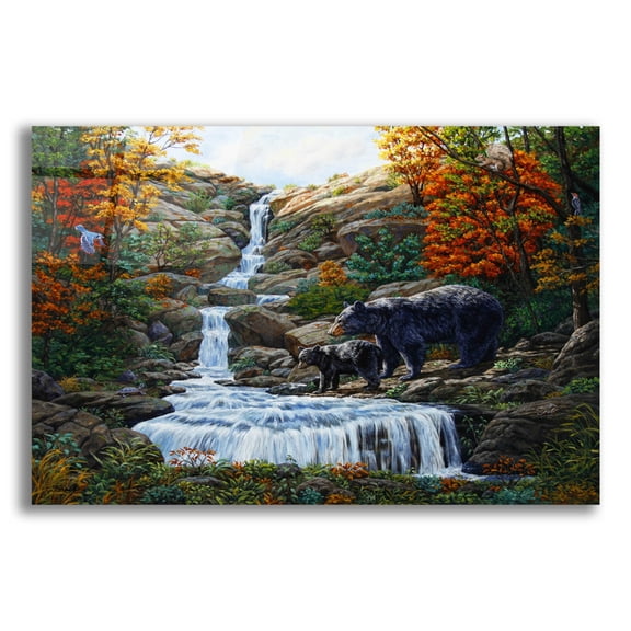Epic Art 'Black Bear Falls' by Crista Forest, Acrylic Glass Wall Art, 16"x12"