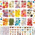thumbnail image 1 of Flores para manualidades Evatage, 630 piezas de flores prensadas y stickers, 1 of 7