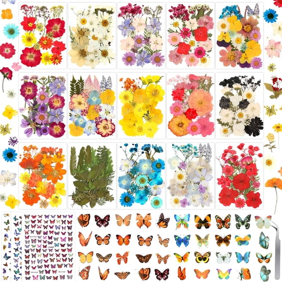 Juego de flores secas prensadas, 630 unidades, con pegatinas de mariposas