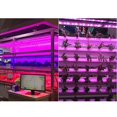 thumbnail image 4 of Lámpara de interior de Planta Sunnimix Bombillas LED Mixtas 30W, 4 of 8