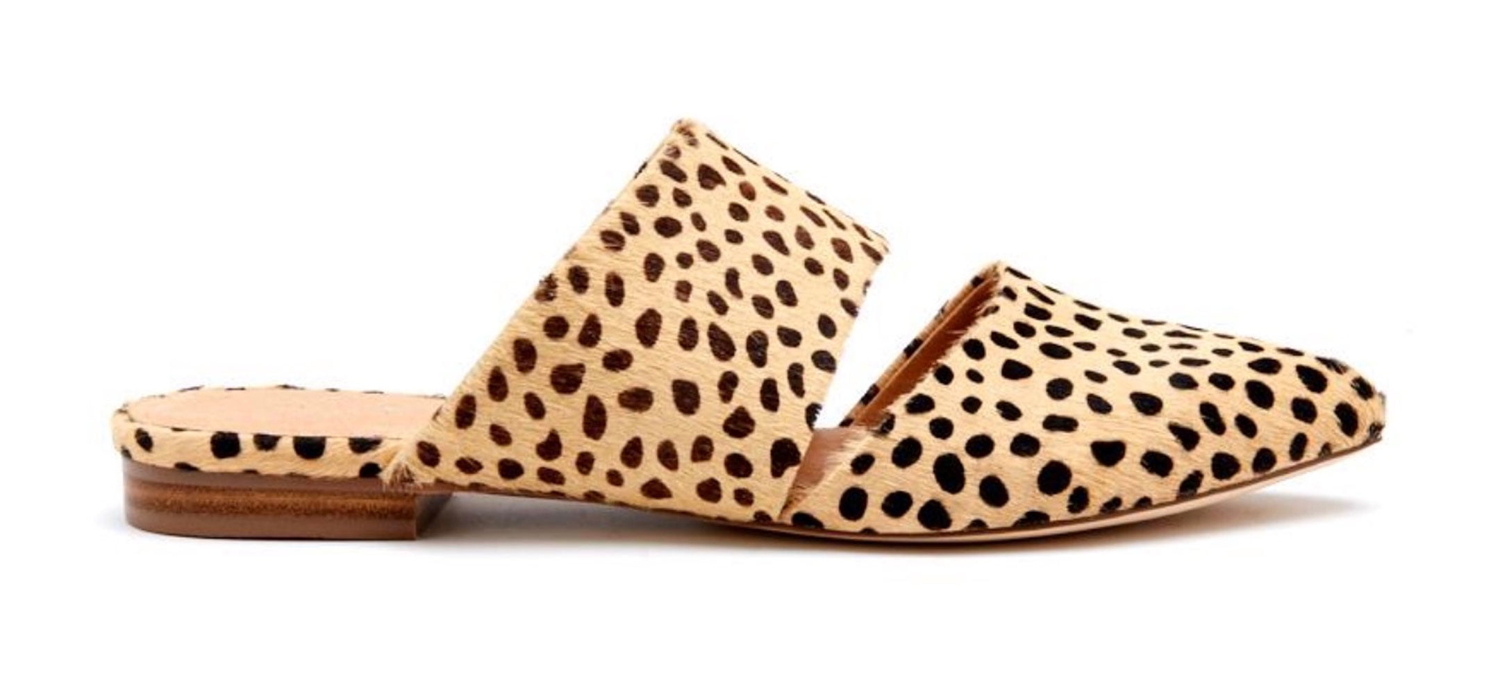 matisse berlin cheetah