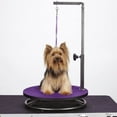 thumbnail image 4 of Master Equipment Table de Toilettage pour Animaux de Compagnie, 4 of 4