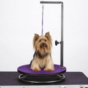 Master Equipment Pet Grooming Table for Pets