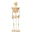 thumbnail image 1 of Puzzled Human Skeleton Wooden 3D Puzzle Construction Kit, 1 of 1