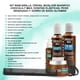 thumbnail image 2 of Kit Capilar Hidratante Chocolate Nefertiti Shampoo Mascarilla Crema para Peinar Bioelixir + Peine Ligas y Gorro Alfamar Cabello Seco o Dañado, 2 of 5