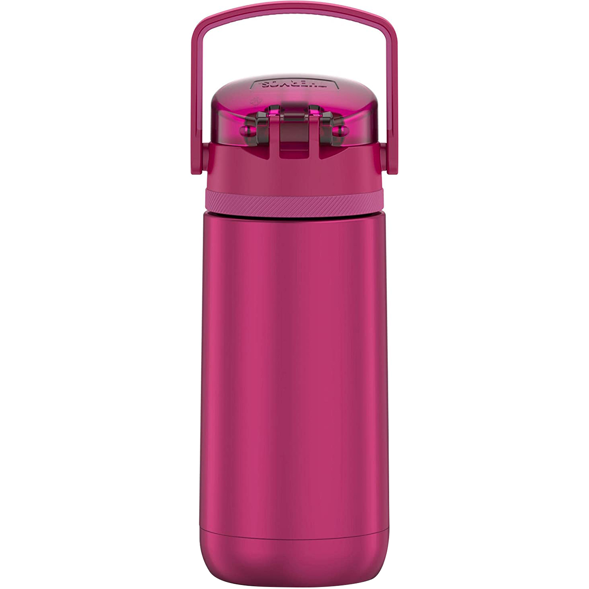 Thermos Kids 14 oz. Funtainer Insulated Stainless Steel Water Bottle - Aubergine