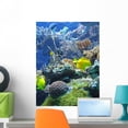 thumbnail image 1 of Under Sea Wall Mural by Wallmonkeys Peel and Stick Graphic (24 in H x 18 in W) WM307622, 1 of 4