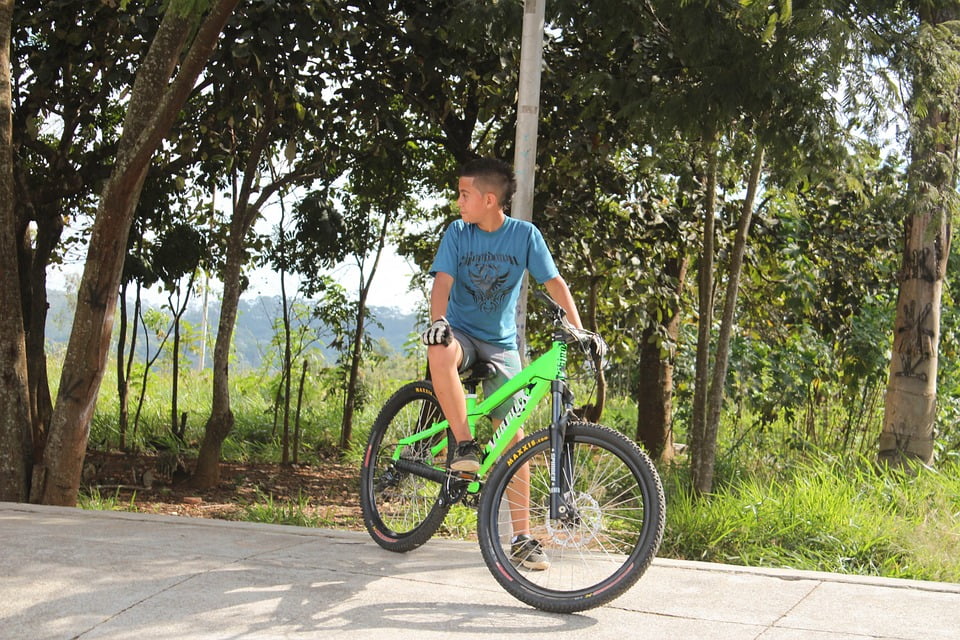 30 inch bmx bike