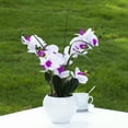 thumbnail image 1 of Enova Home Artificial Real Touch Orchids Faux Flowers Arrangement in White Ceramic Pot for Home Office Wedding Decoration, 1 of 4