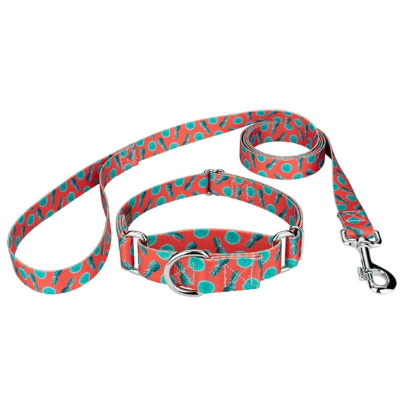 Country Brook Petz® Tropical Tango Martingale Dog Collar and Leash, 2XS
